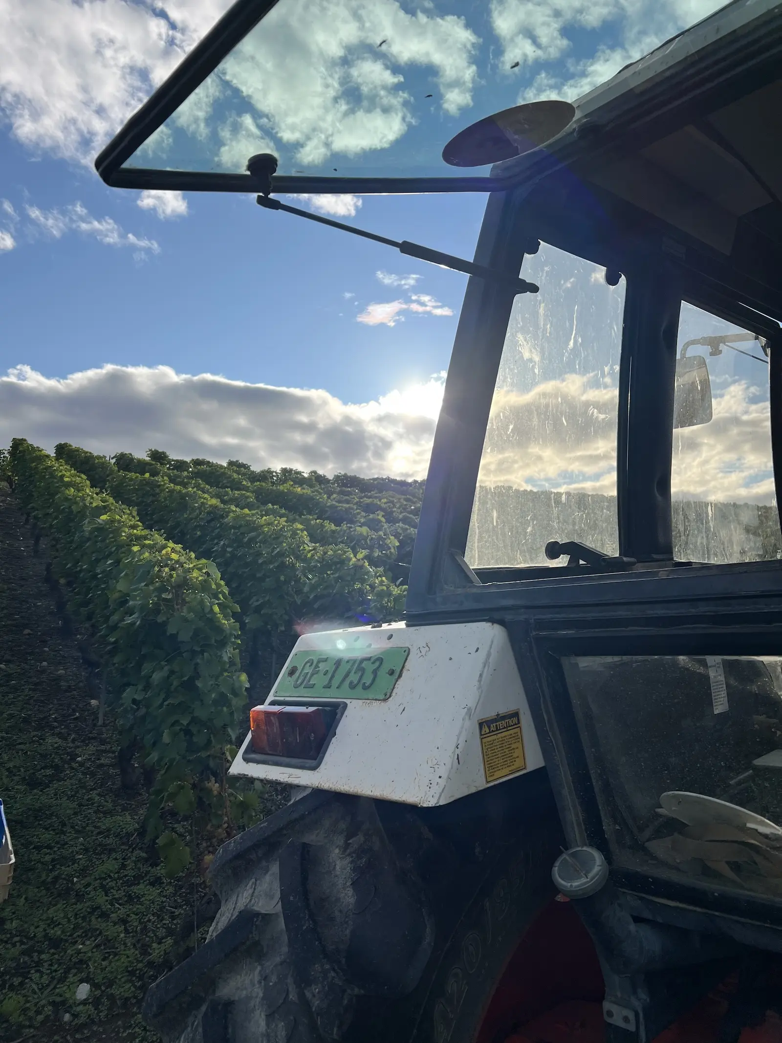 Photo de la pente du vignoble